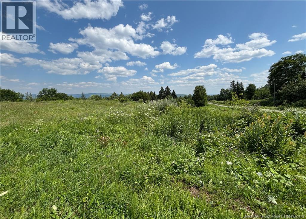 Lot 0 Scott Road, Beaconsfield, New Brunswick  E7H 1H5 - Photo 3 - NB143786