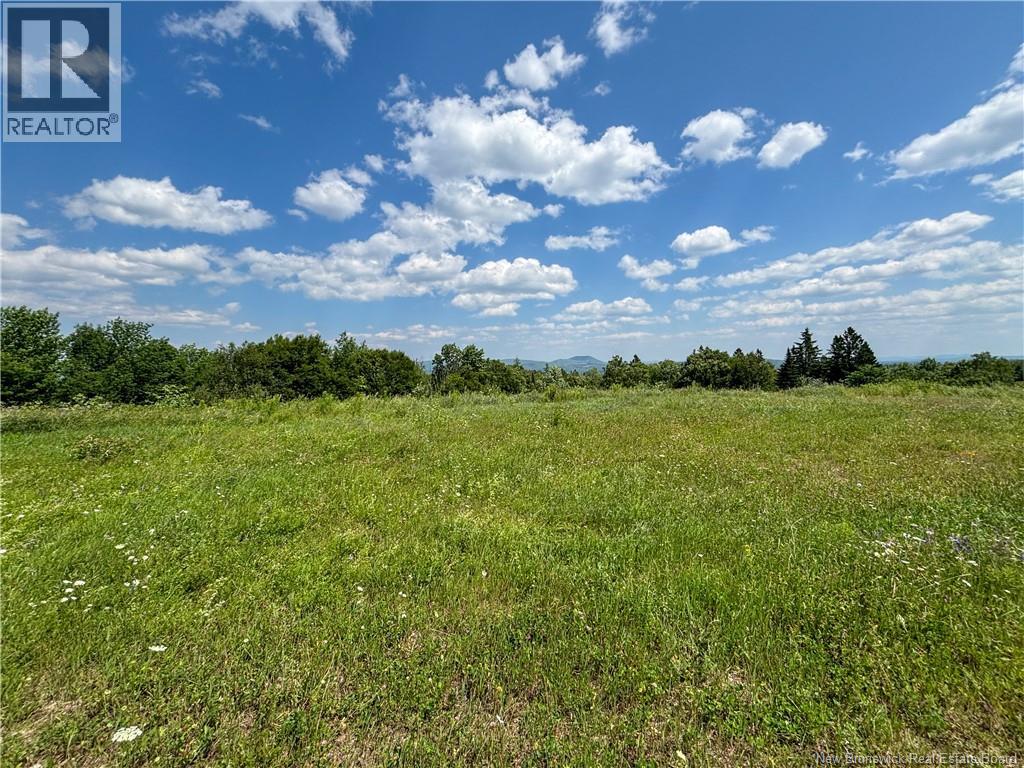 Lot 0 Scott Road, Beaconsfield, New Brunswick  E7H 1H5 - Photo 7 - NB143786