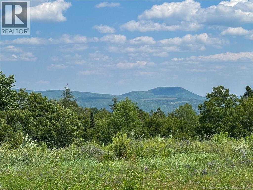 Lot 0 Scott Road, Beaconsfield, New Brunswick  E7H 1H5 - Photo 12 - NB143786