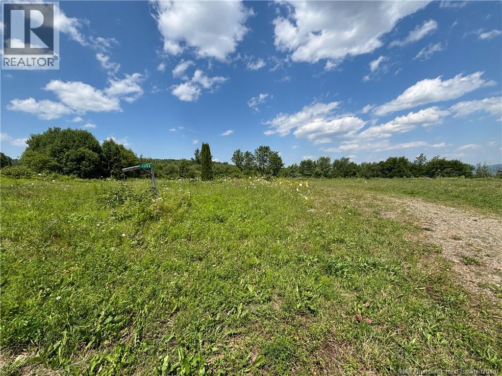 Lot 0 Scott Road, Beaconsfield, New Brunswick  E7H 1H5 - Photo 2 - NB143786