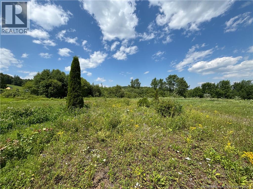 Lot 0 Scott Road, Beaconsfield, New Brunswick  E7H 1H5 - Photo 6 - NB143786