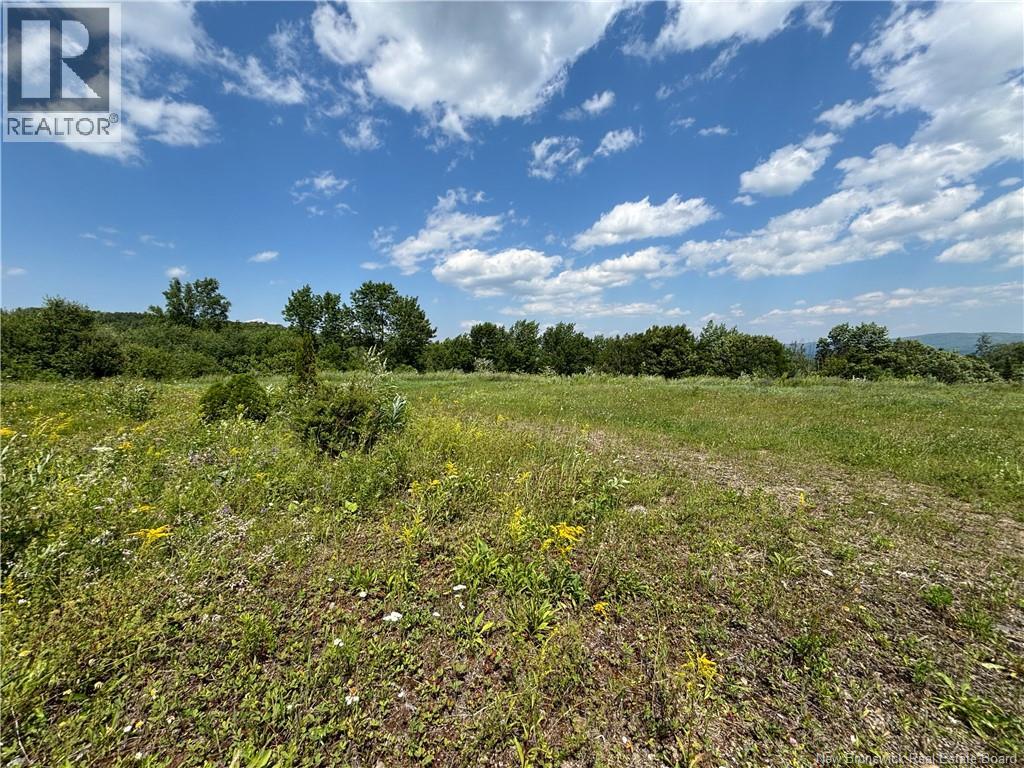Lot 0 Scott Road, Beaconsfield, New Brunswick  E7H 1H5 - Photo 14 - NB143786