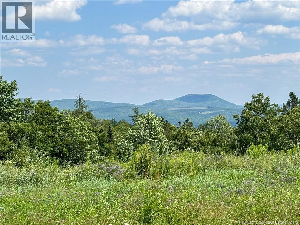 Lot 0 Scott Road, Beaconsfield, New Brunswick  E7H 1H5 - Photo 1 - NB143786