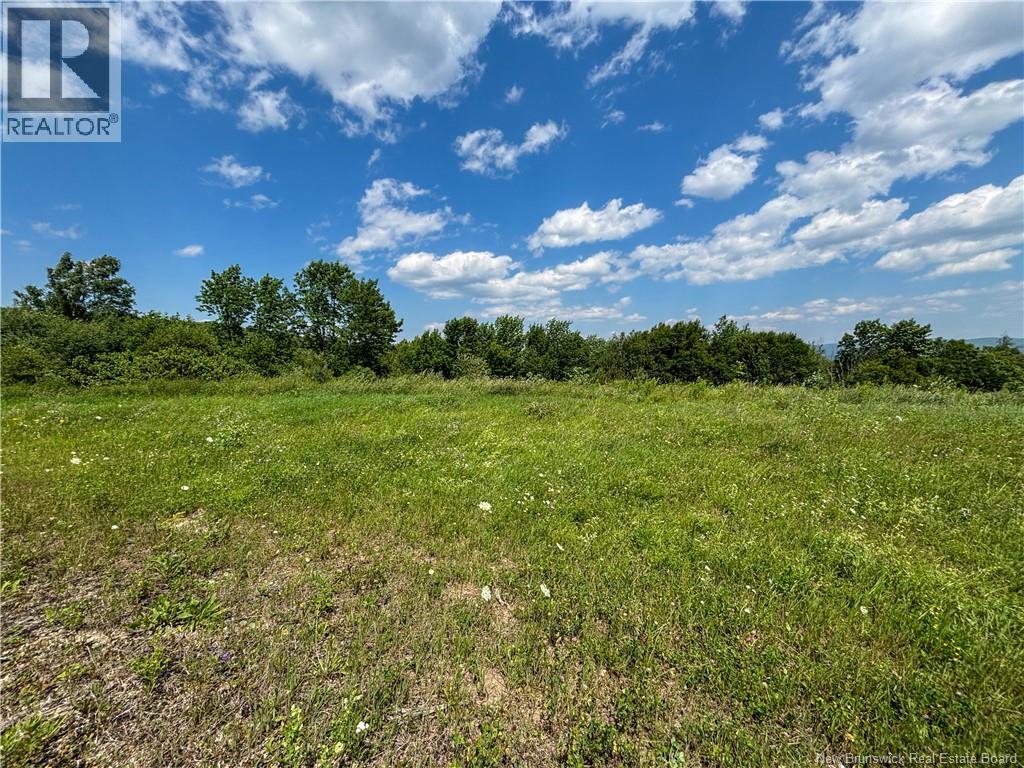 Lot 0 Scott Road, Beaconsfield, New Brunswick  E7H 1H5 - Photo 10 - NB143786