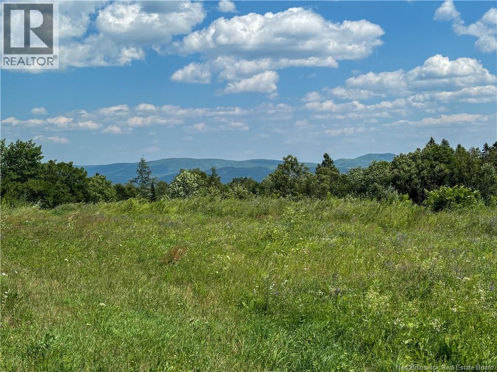 Lot 0 Scott Road, Beaconsfield, New Brunswick  E7H 1H5 - Photo 9 - NB143786