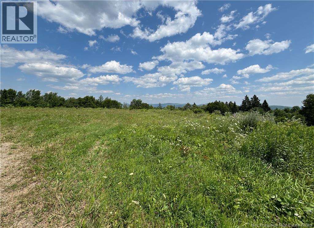 Lot 0 Scott Road, Beaconsfield, New Brunswick  E7H 1H5 - Photo 18 - NB143786