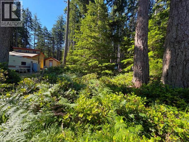 1630 Savary Island Rd, Savary Island, British Columbia   - Photo 3 - 19545