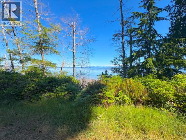 1630 Savary Island Rd, Savary Island, British Columbia   - Photo 8 - 19545