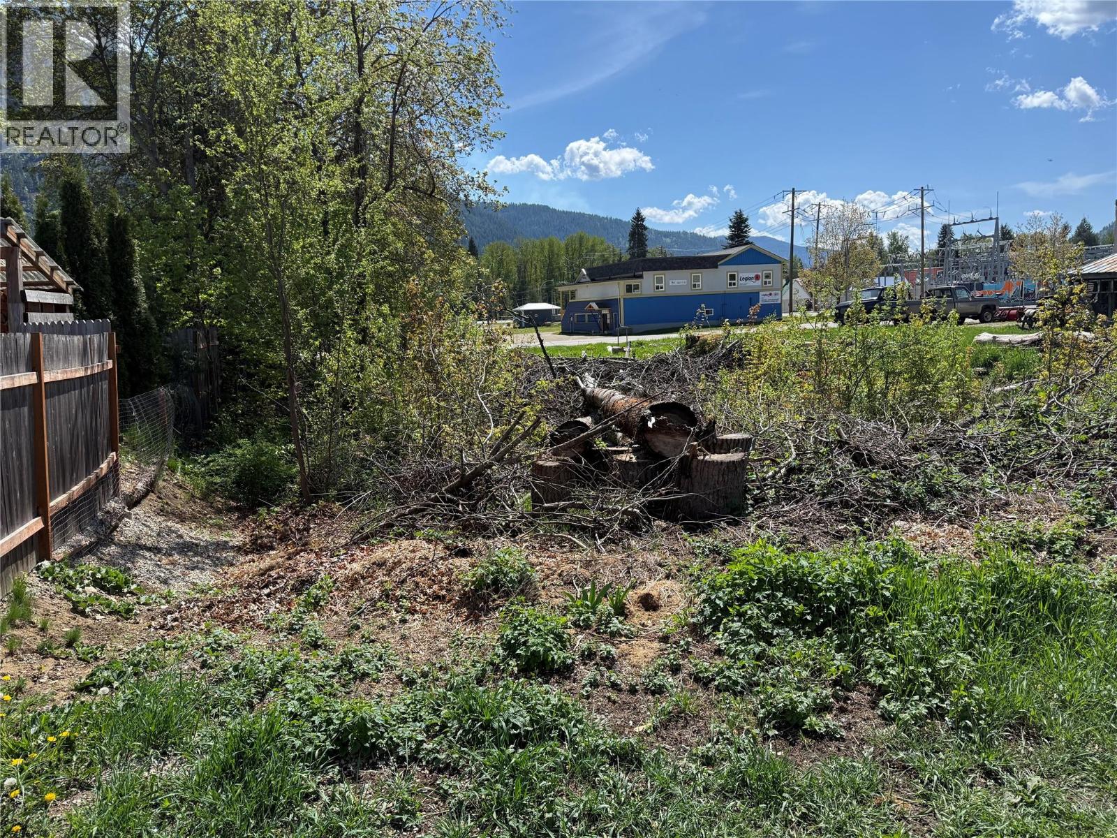 Lot A Sayward Avenue, Salmo, British Columbia  V0G 1Z0 - Photo 10 - 10387881