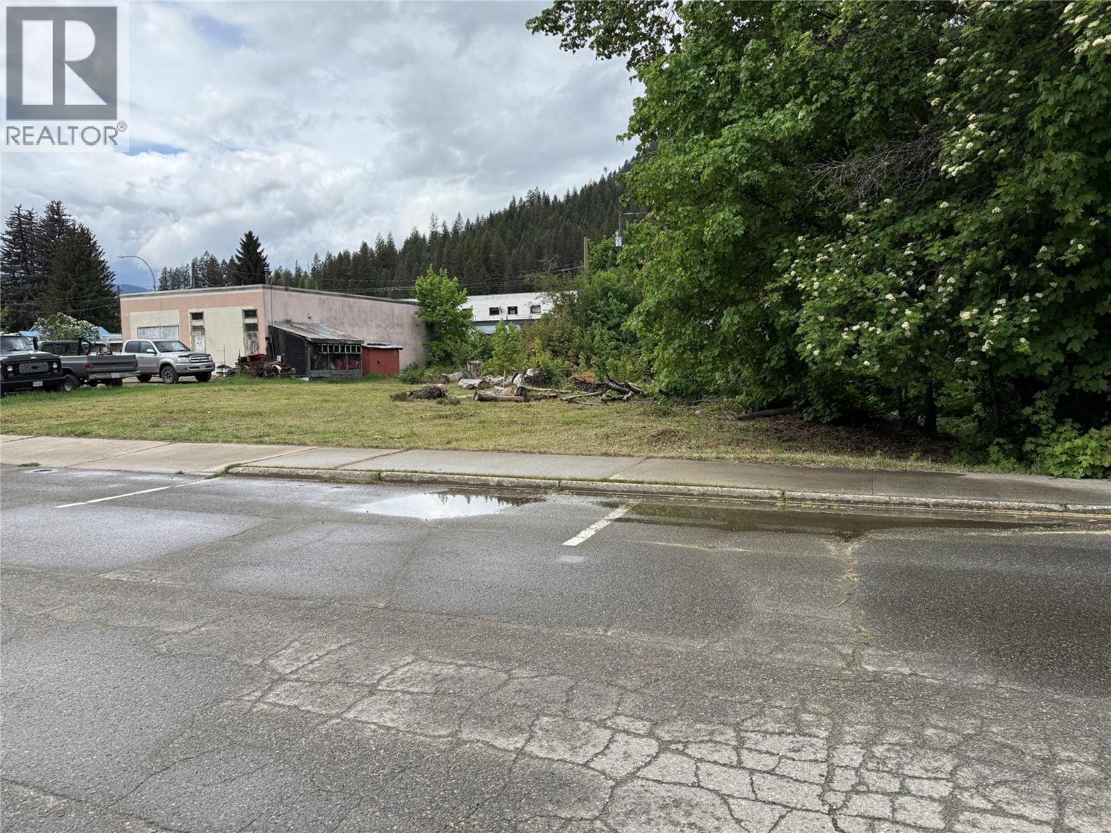 Lot B Sayward Avenue, Salmo, British Columbia  V0G 1Z0 - Photo 2 - 10387885