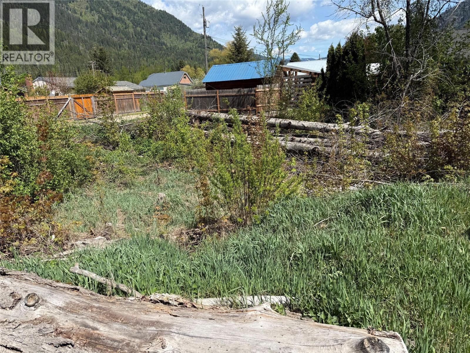 Lot B Sayward Avenue, Salmo, British Columbia  V0G 1Z0 - Photo 7 - 10387885