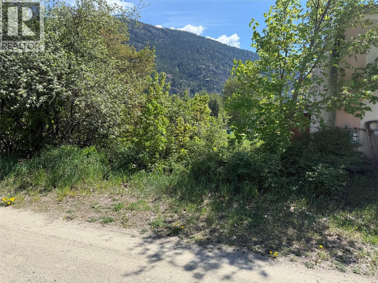 Lots A&b Sayward Avenue, Salmo, British Columbia  V0G 1Z0 - Photo 5 - 10395057