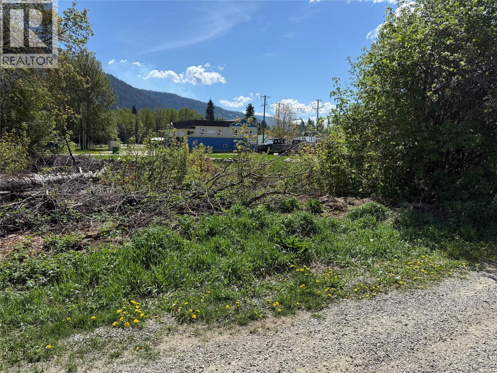 Lots A&b Sayward Avenue, Salmo, British Columbia  V0G 1Z0 - Photo 6 - 10395057
