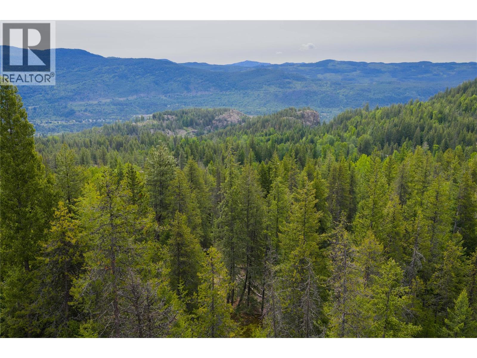 1682 Circle Road, Castlegar, British Columbia V1N 4W1 - Photo 23 - 10396470