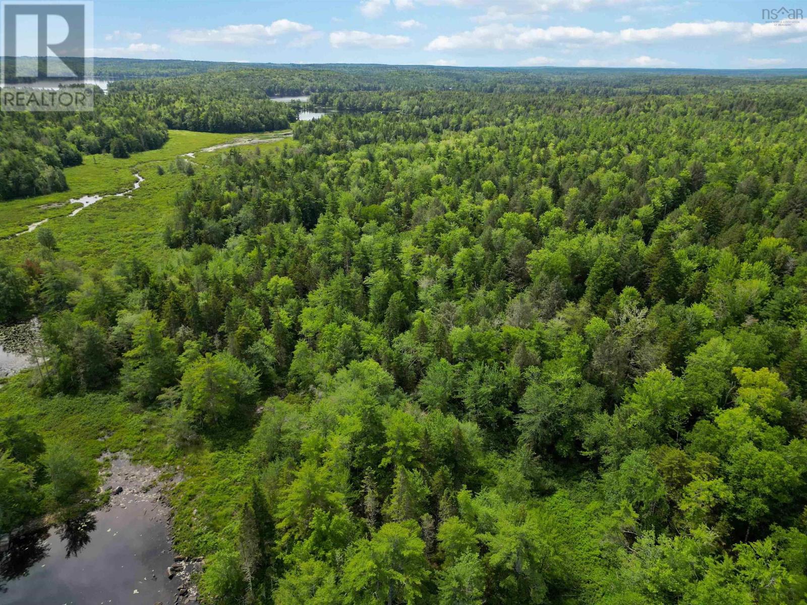 Lot 54 Harry Freeman Road, Labelle, Nova Scotia  B0T 1E0 - Photo 5 - 202604636