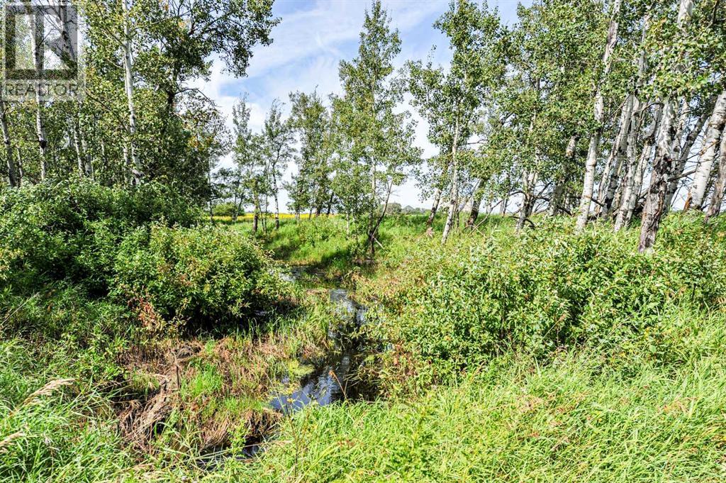 19436 460 Township, Rural Camrose County, Alberta  T4V 2M9 - Photo 34 - A2334531