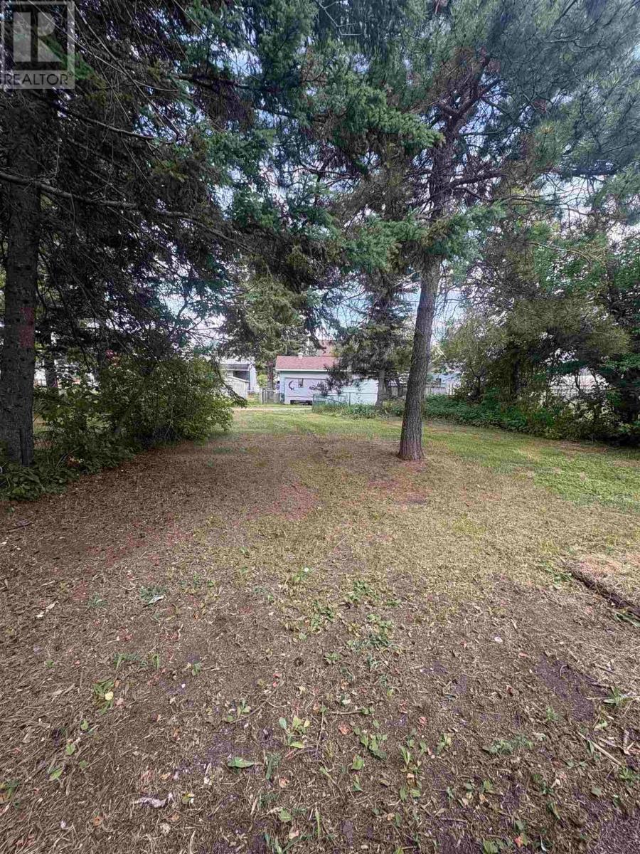 32 Lansdowne St S, Chapleau, Ontario  P0M 1K0 - Photo 12 - SM262005