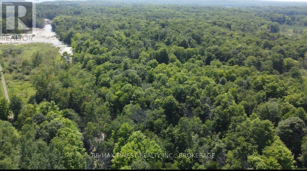 Pt Lt 13 Ritchie Road, Frontenac, Ontario  K0H 2L0 - Photo 2 - X13640842