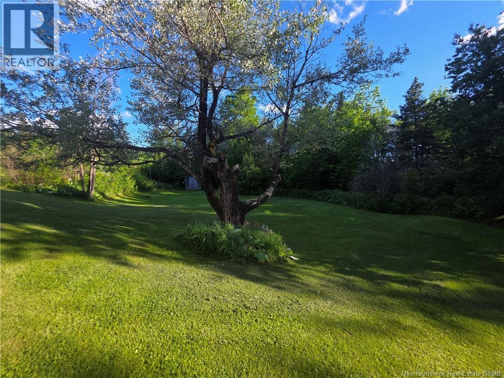 3 Ferris Road, Red Rapids, New Brunswick  E7H 2A1 - Photo 46 - NB142109
