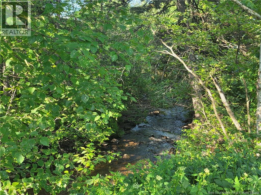 3 Ferris Road, Red Rapids, New Brunswick  E7H 2A1 - Photo 49 - NB142109