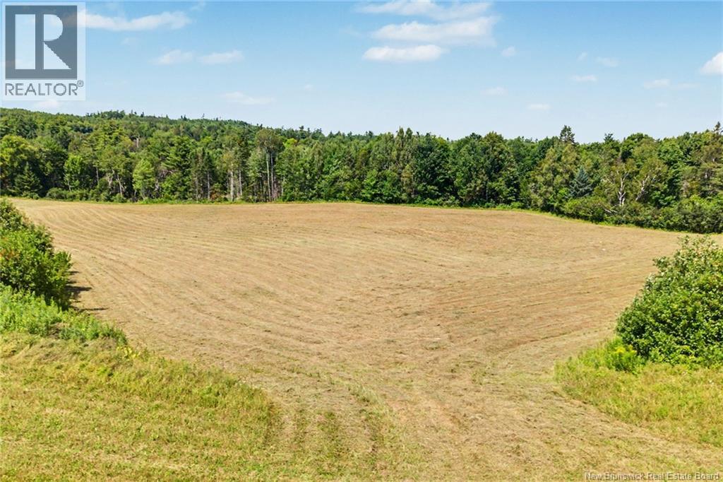 437 Mill Settlement Road, Hoyt, New Brunswick  E2V 2Y3 - Photo 39 - NB145384