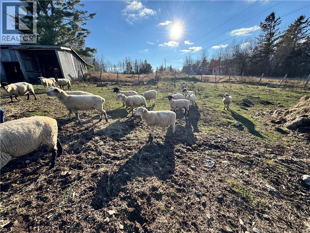 437 Mill Settlement Road, Hoyt, New Brunswick  E2V 2Y3 - Photo 47 - NB145384