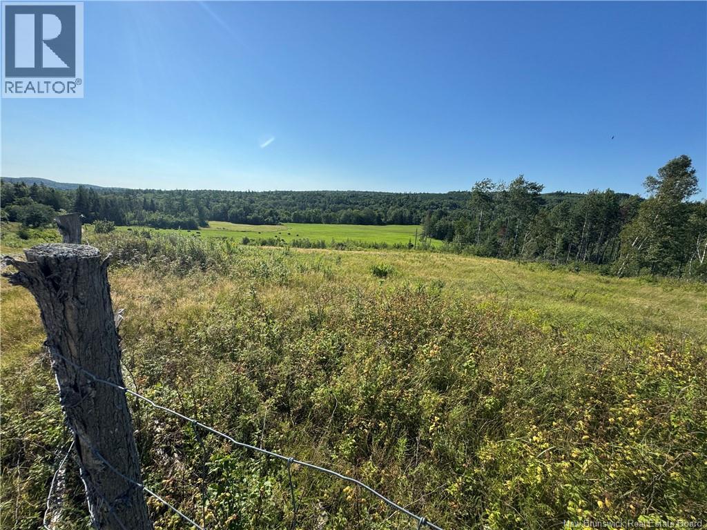 437 Mill Settlement Road, Hoyt, New Brunswick  E2V 2Y3 - Photo 44 - NB145381