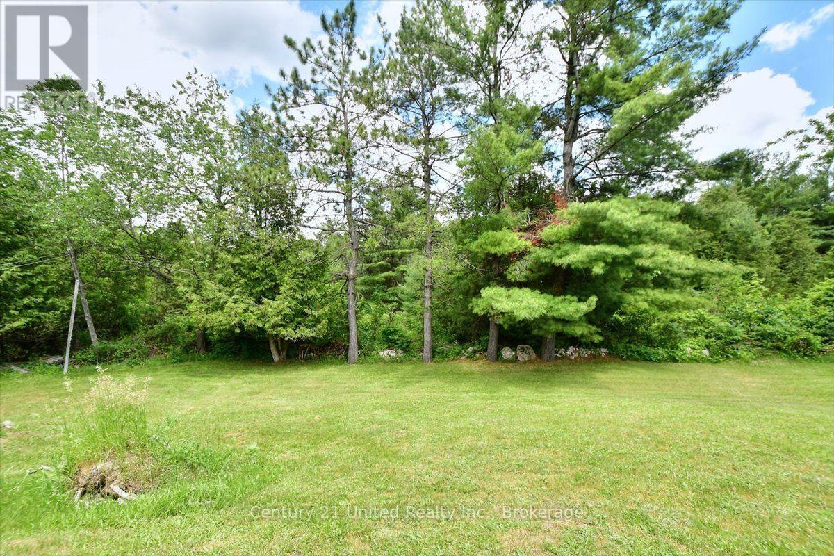 1541 County Road 4, Douro-Dummer, Ontario  K0L 3A0 - Photo 39 - X13640950