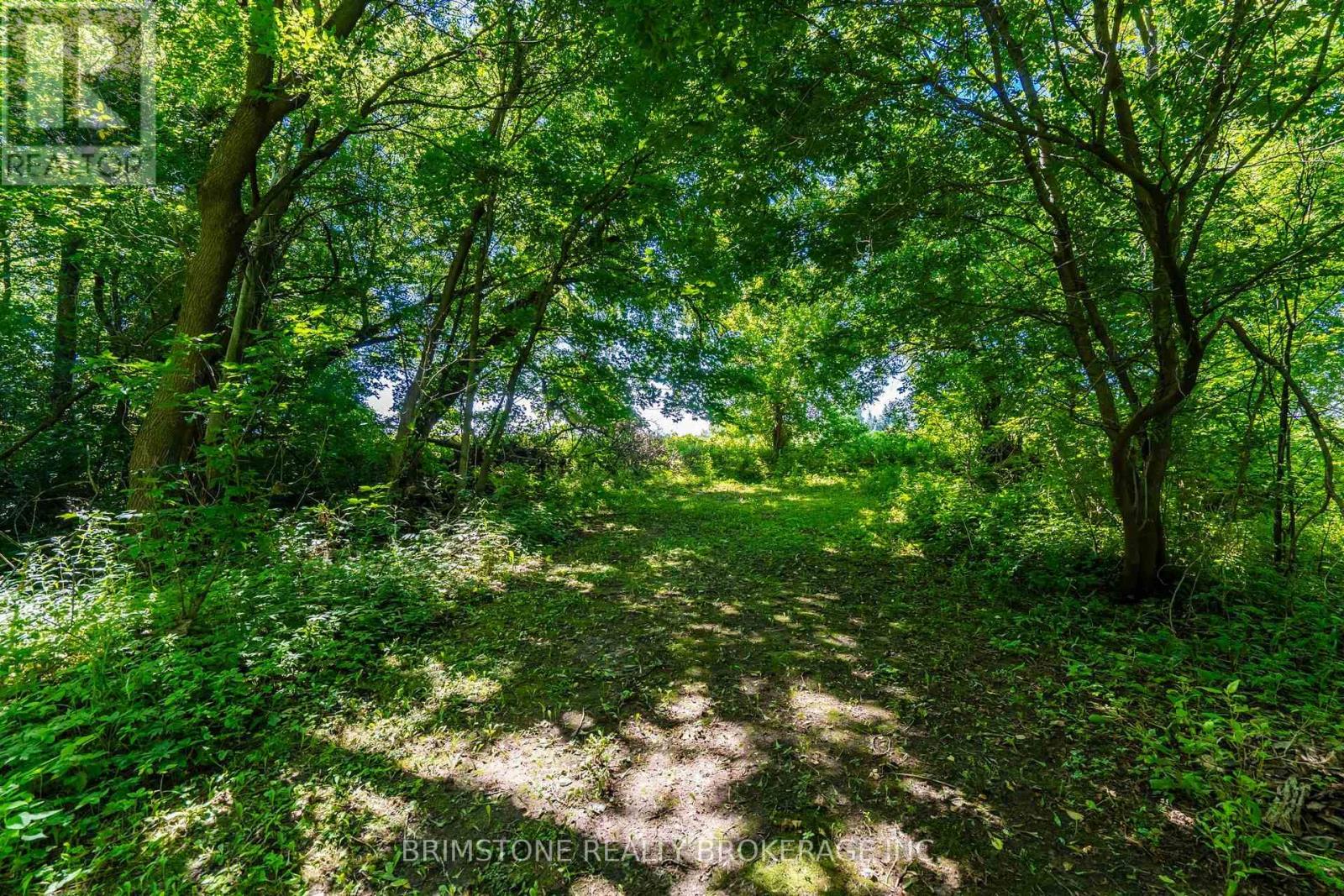 8231 56 County Road, Essa, Ontario  L0M 1T0 - Photo 45 - N13640964