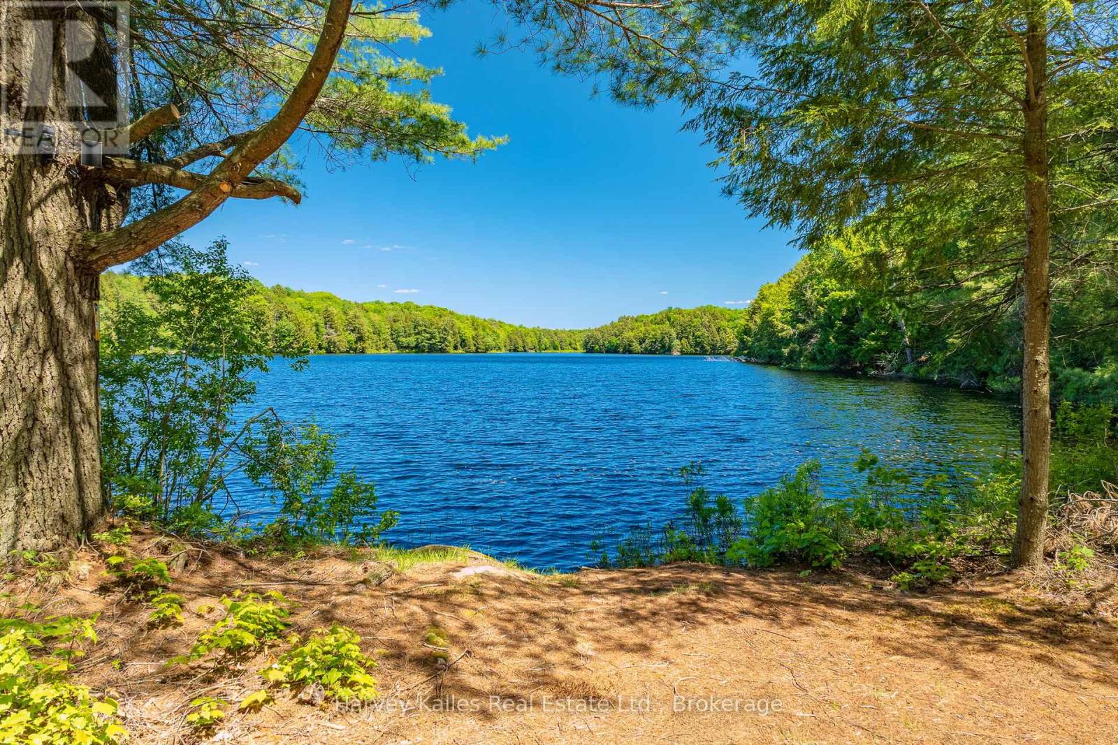 643b Highway 632, Seguin, Ontario  P2A 2W8 - Photo 1 - X13641000