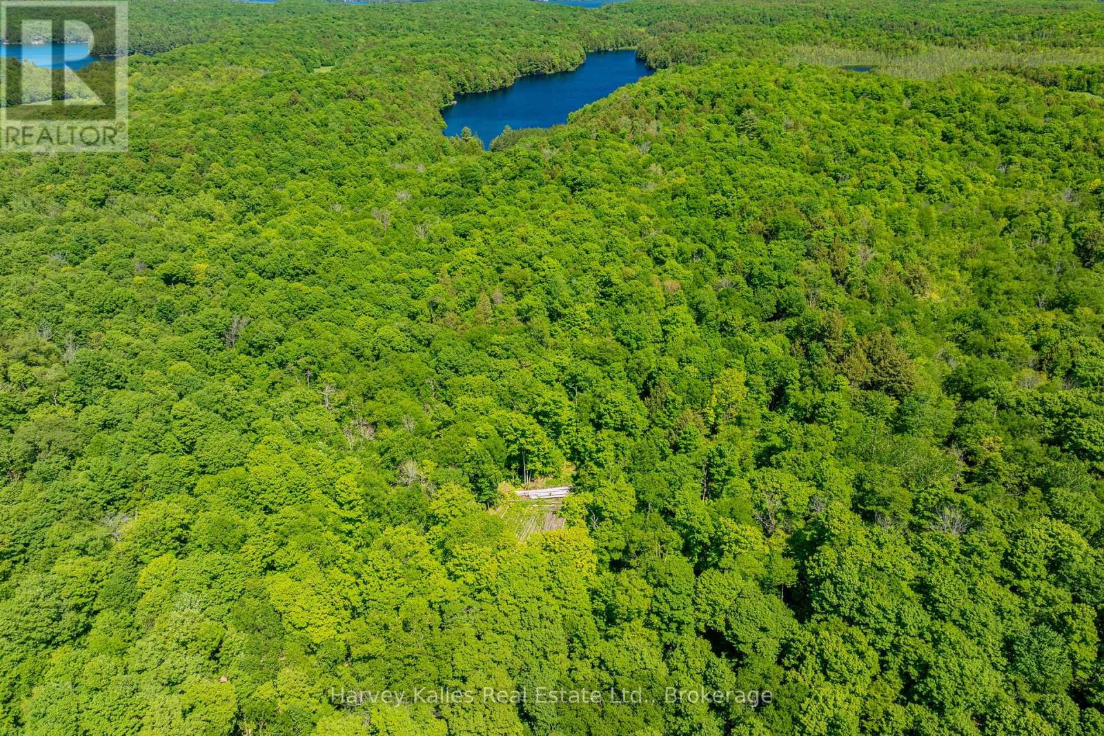 643b Highway 632, Seguin, Ontario  P2A 2W8 - Photo 16 - X13641000