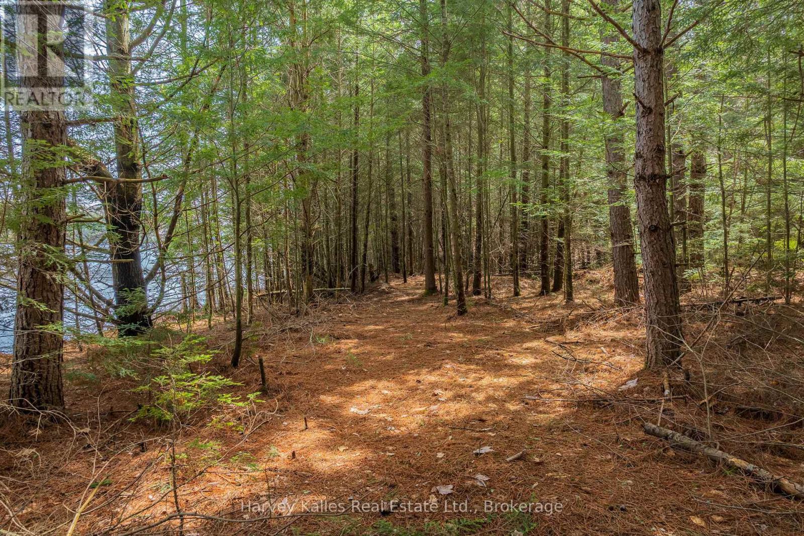 643b Highway 632, Seguin, Ontario  P2A 2W8 - Photo 17 - X13641000