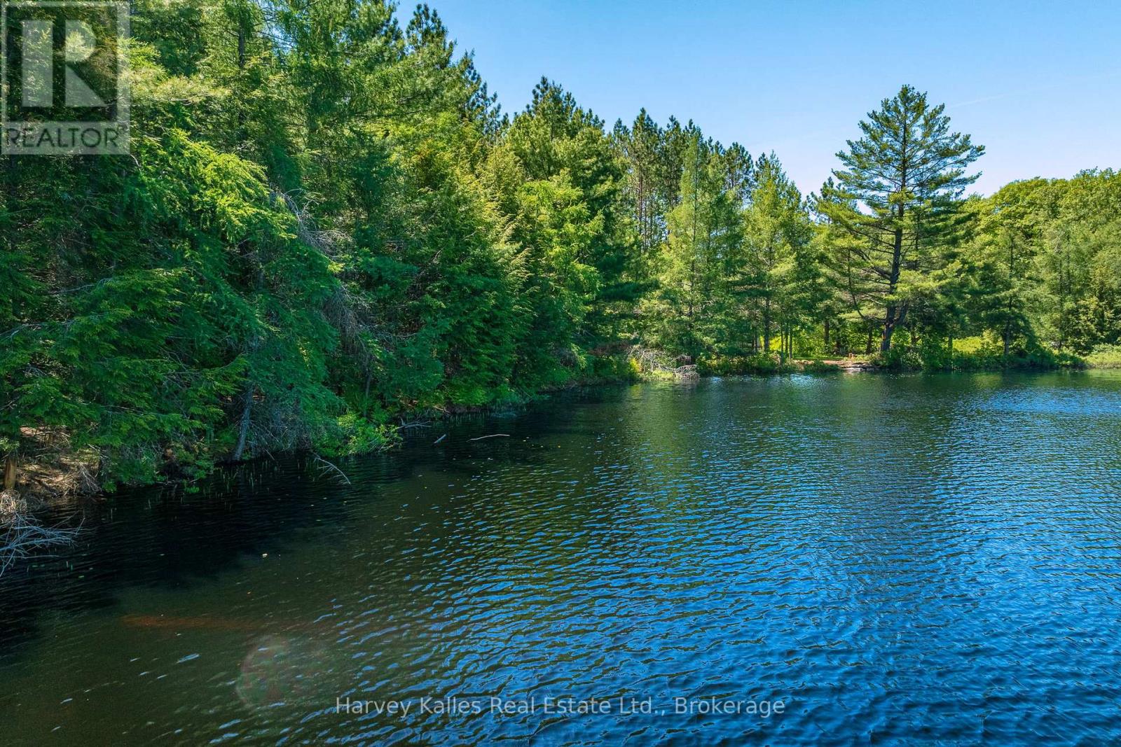 643b Highway 632, Seguin, Ontario  P2A 2W8 - Photo 9 - X13641000