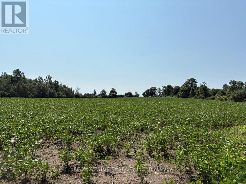 1194 Concession 14 W Concession, South Bruce, Ontario  N0G 2S0 - Photo 8 - X13641036