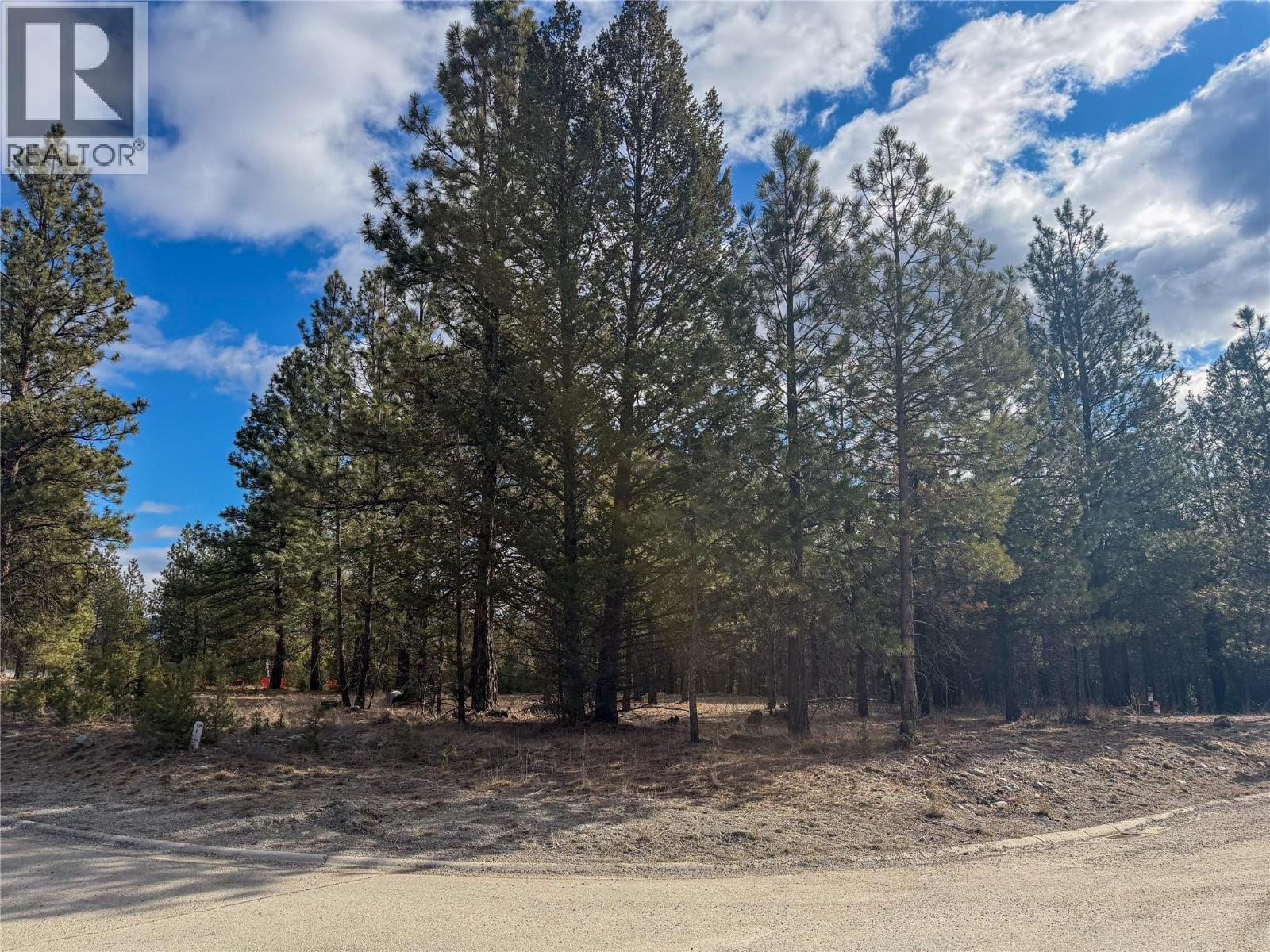 100 Shadow Mountain Boulevard, Cranbrook, British Columbia  V1C 0C2 - Photo 3 - 10396902