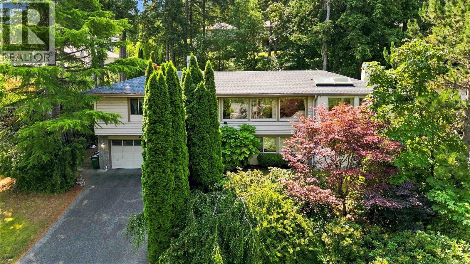 picture 51