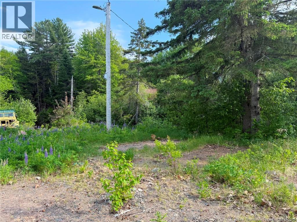Welsford Station Road, Welsford, New Brunswick  E5K 4A5 - Photo 6 - NB138305