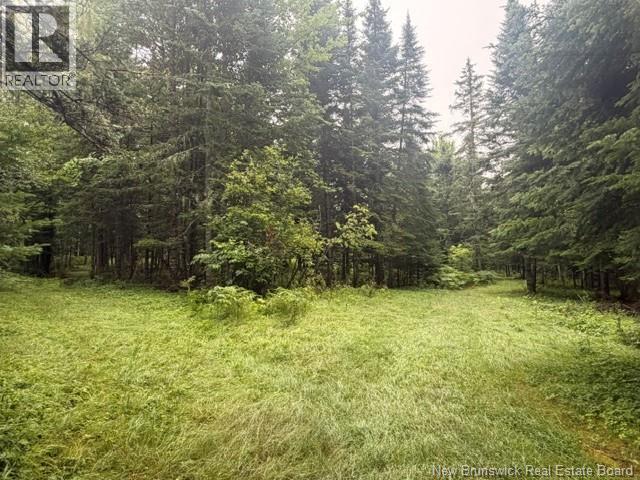 300 Goddard Road, Wheaton Settlement, New Brunswick  E4Z 3S4 - Photo 11 - NB145298