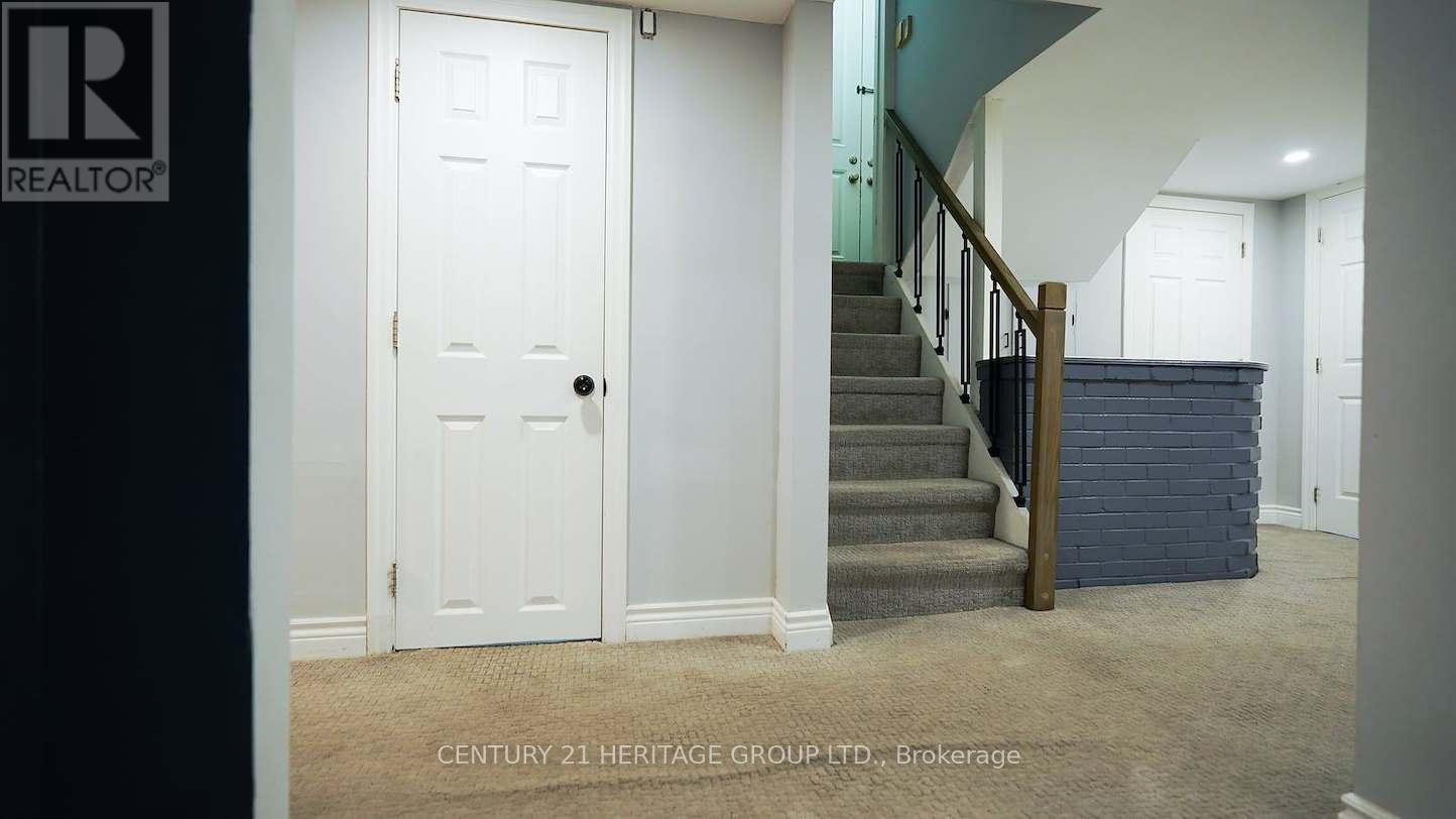 Lower - 328 Moore Park Avenue, Toronto, Ontario  M2R 2R6 - Photo 6 - C13641184