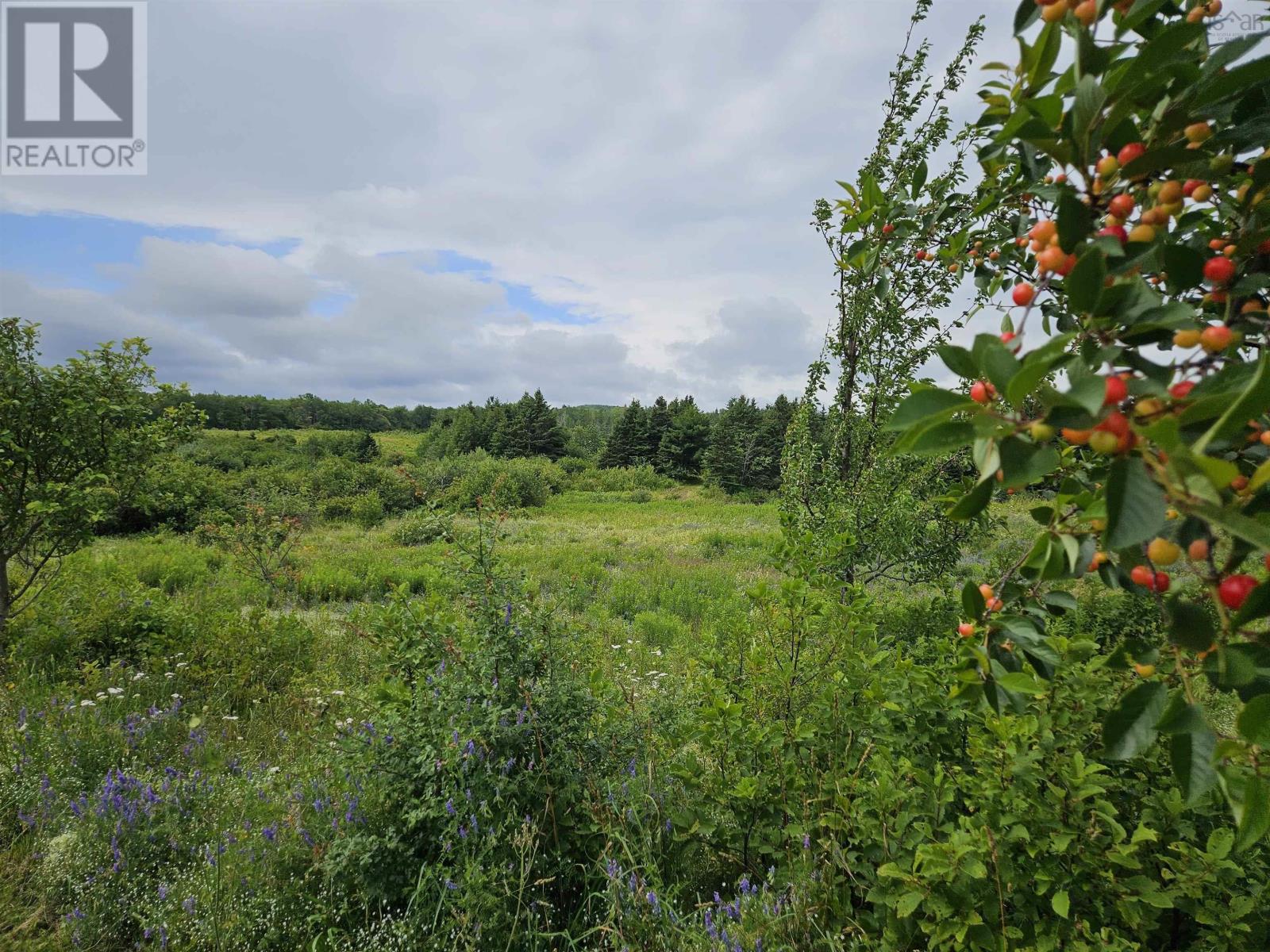1807 Highway 326, East Earltown, Nova Scotia  B0K 1V0 - Photo 5 - 202617586