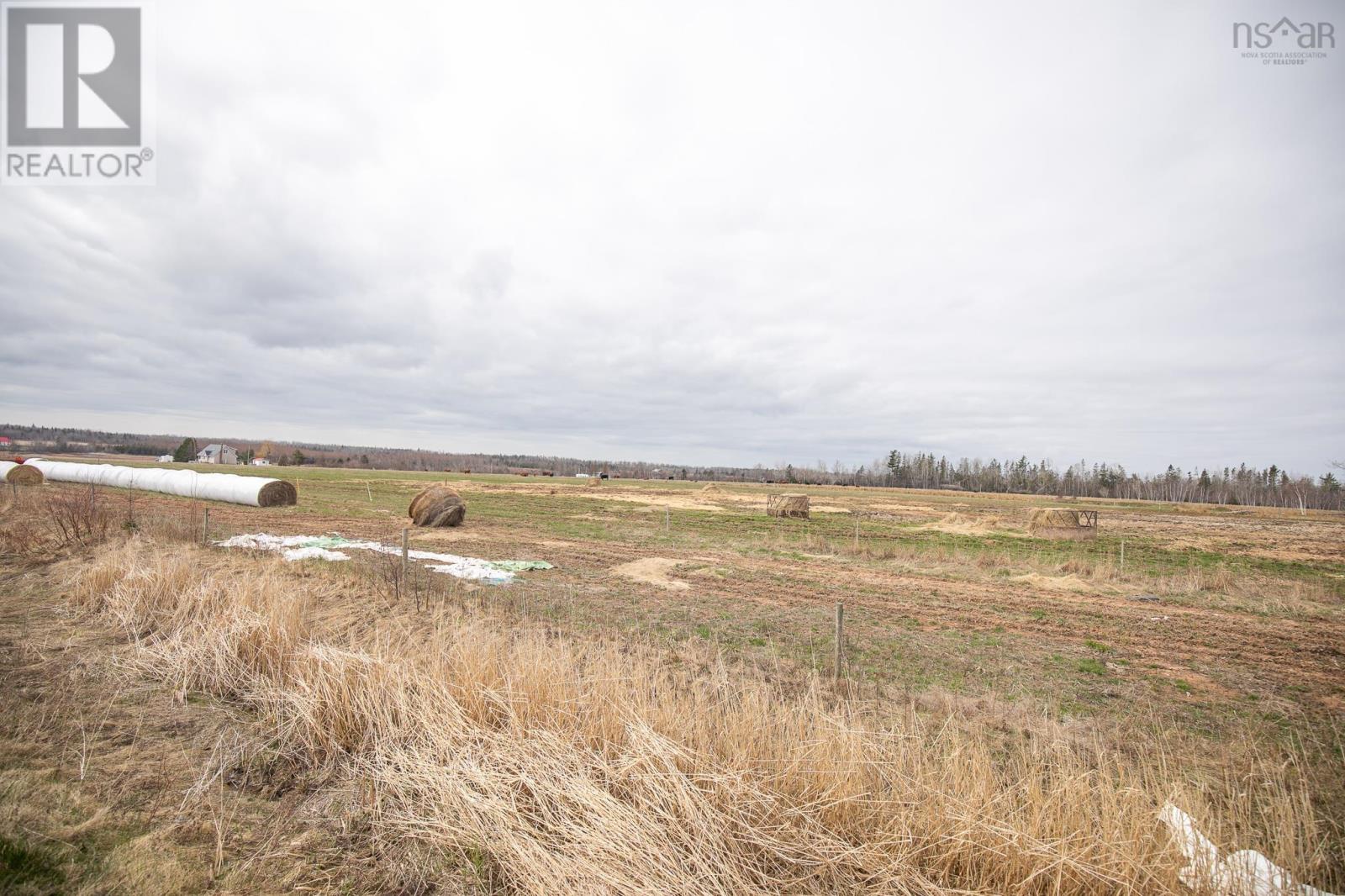 picture 49