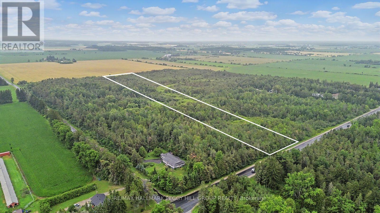 1659 County Road 92, Springwater, Ontario L0L 1P0 - Photo 2 - S13641308
