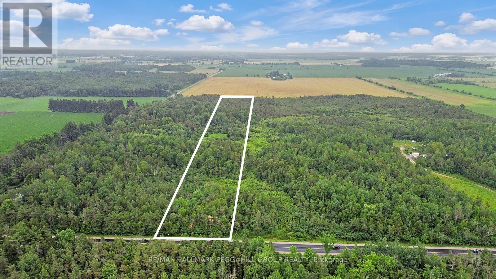 1659 County Road 92, Springwater, Ontario L0L 1P0 - Photo 3 - S13641308