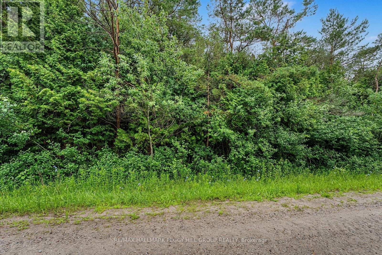 1659 County Road 92, Springwater, Ontario L0L 1P0 - Photo 4 - S13641308