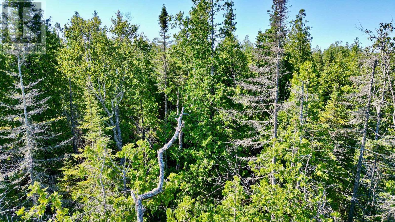 Lot 22 Ray Drive, Northern Bruce Peninsula, Ontario  N0H 2R0 - Photo 20 - X12728198