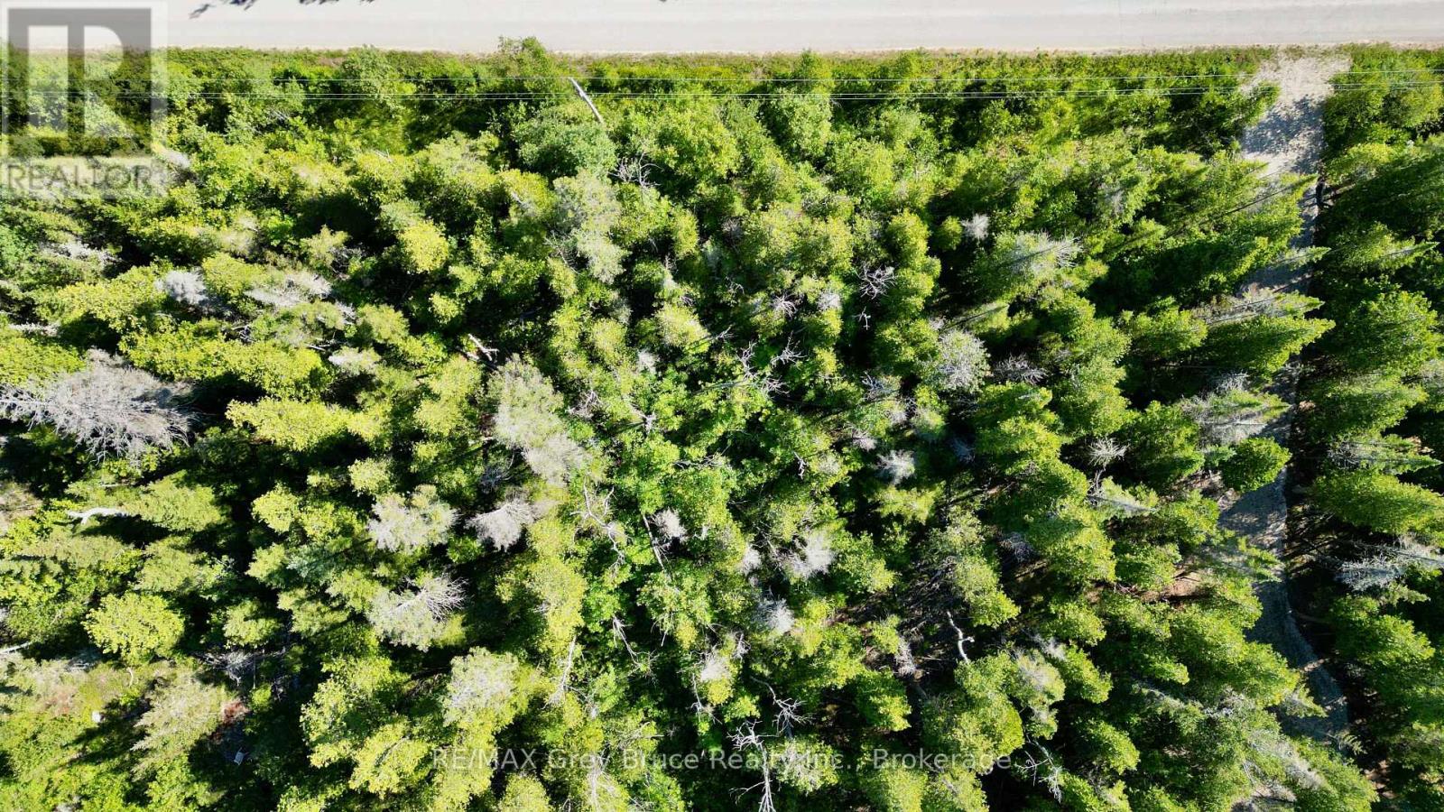 Lot 22 Ray Drive, Northern Bruce Peninsula, Ontario  N0H 2R0 - Photo 17 - X12728198