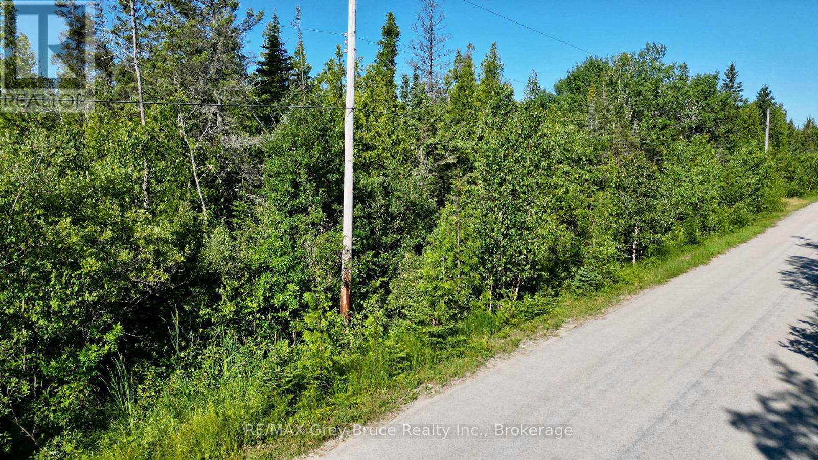 Lot 22 Ray Drive, Northern Bruce Peninsula, Ontario  N0H 2R0 - Photo 4 - X12728198