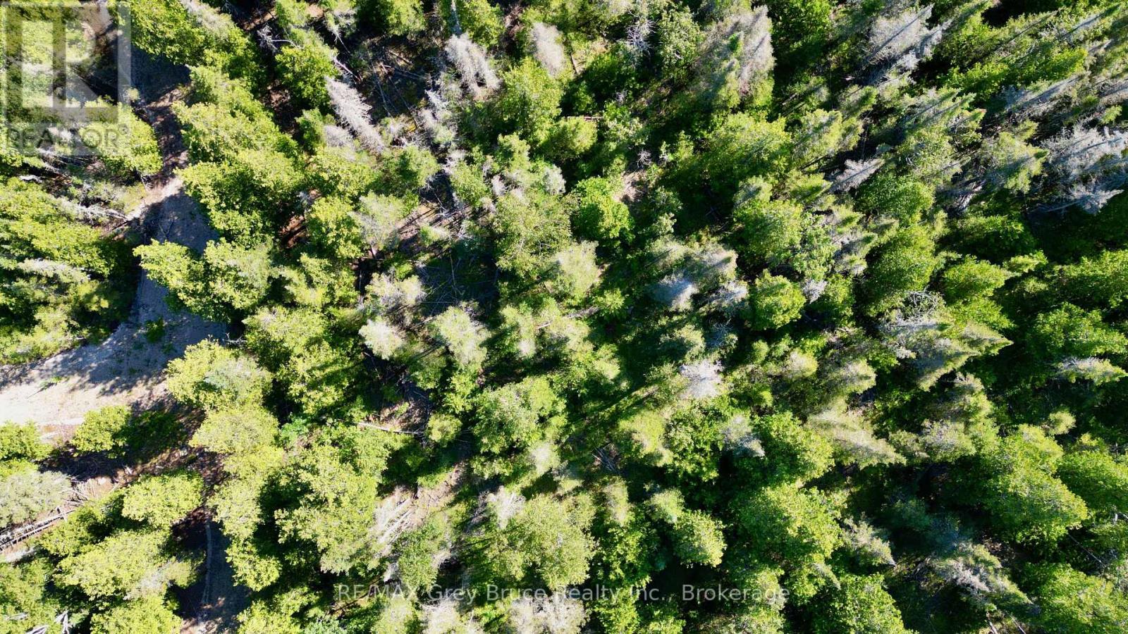 Lot 22 Ray Drive, Northern Bruce Peninsula, Ontario  N0H 2R0 - Photo 16 - X12728198
