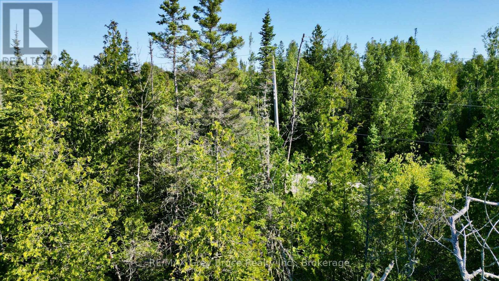 Lot 22 Ray Drive, Northern Bruce Peninsula, Ontario  N0H 2R0 - Photo 21 - X12728198