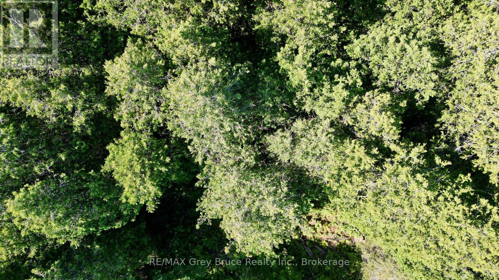 Lot 30 Myles Drive, Northern Bruce Peninsula, Ontario N0H 2R0 - Photo 10 - X12728236